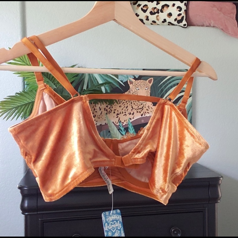 Free People Aurora Lace Velvet Underwire Bralette - Picture 4 of 4